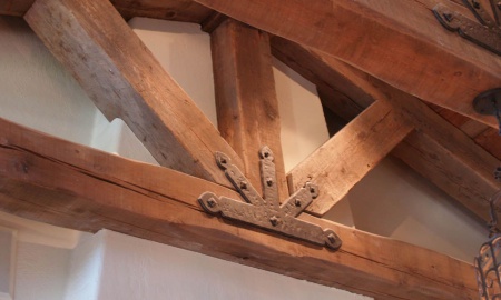 Pellentesque imperdiet ex