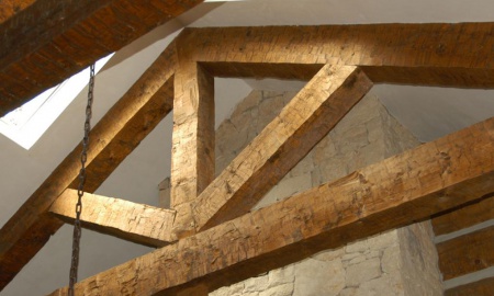 Nulla fringilla ut purus