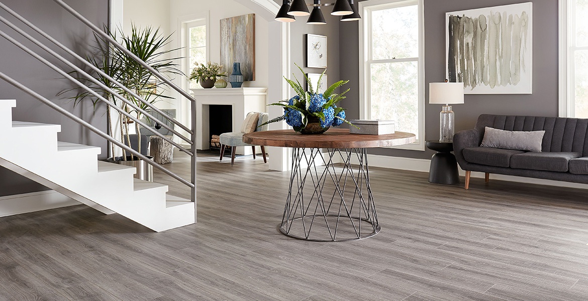 Sed justo aliquet vitae