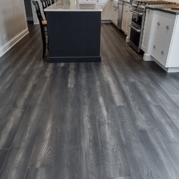 Vestibulum purus diam