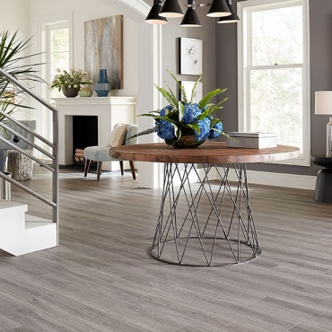 Sed justo aliquet vitae